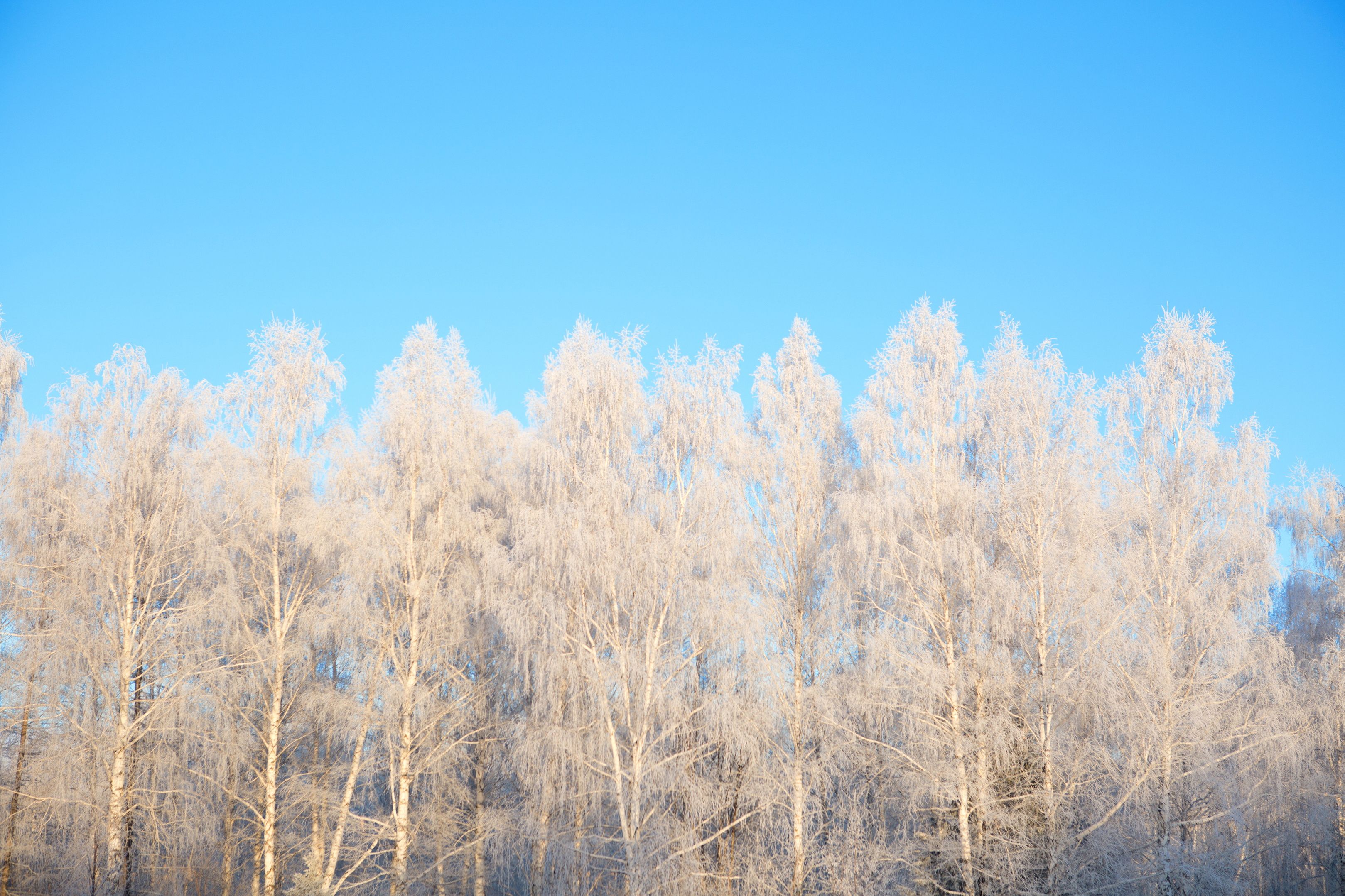 Irish Weather: Temperatures to drop below freezing as frost and ice expected overnight