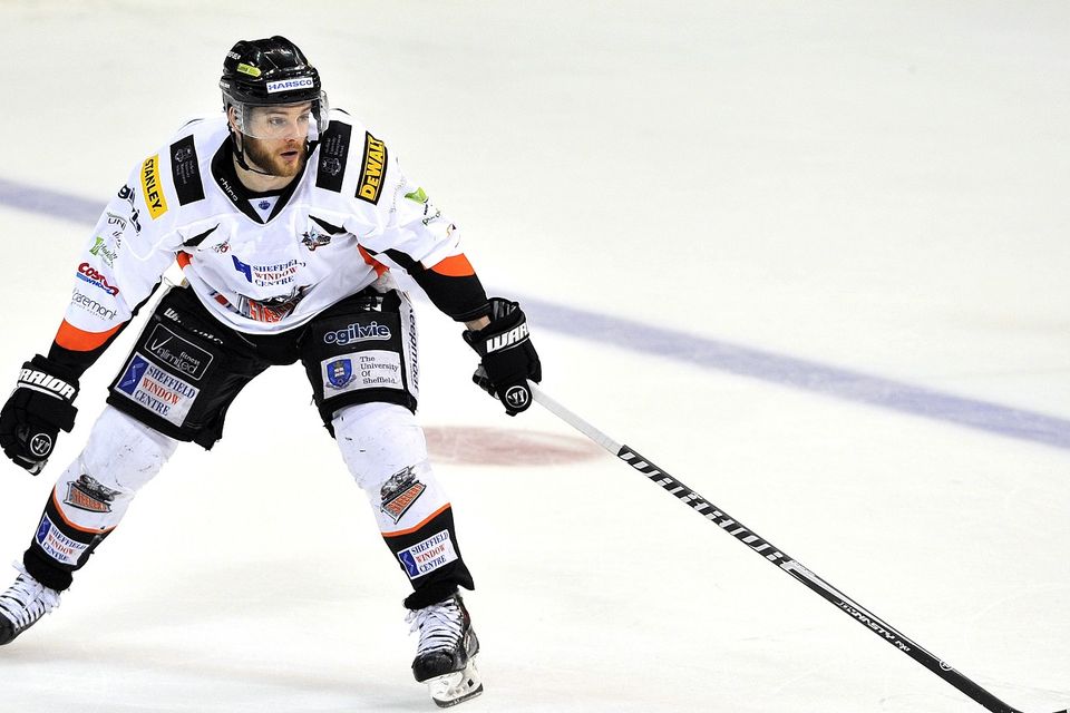 Robert Dowd was on target for the Sheffield Steelers