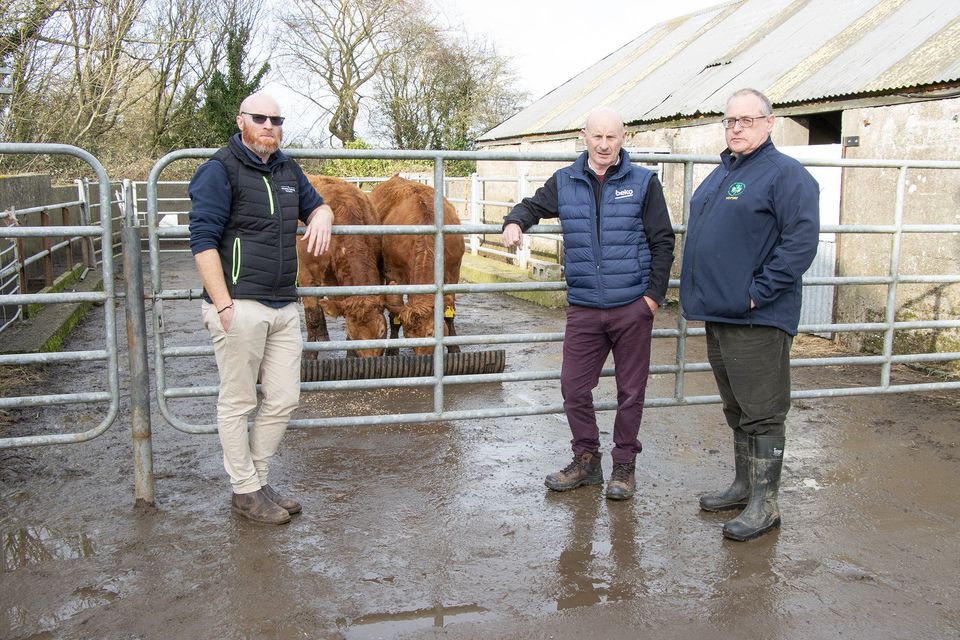 Cllr Frank Staples on his farm with his son Jim and Jer O'Mahony (County Chairman Irish Farmers Association).