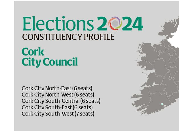 Local elections 2024 – Cork city: Fine Gael’s Shane O’Callaghan tops poll