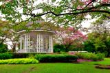 thumbnail: The bandstand in Singapore botanic gardens. Photo: Deposit