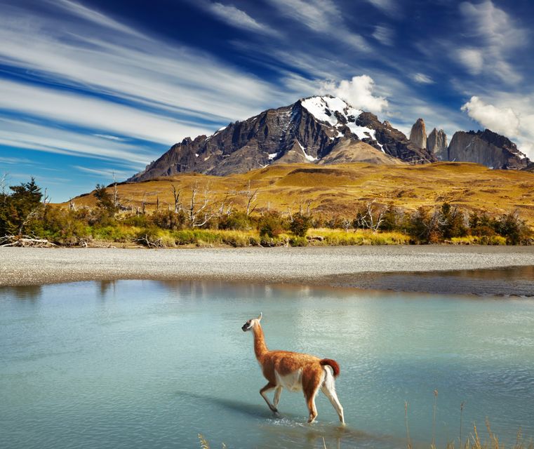 Parque Nacional Torres del Paine