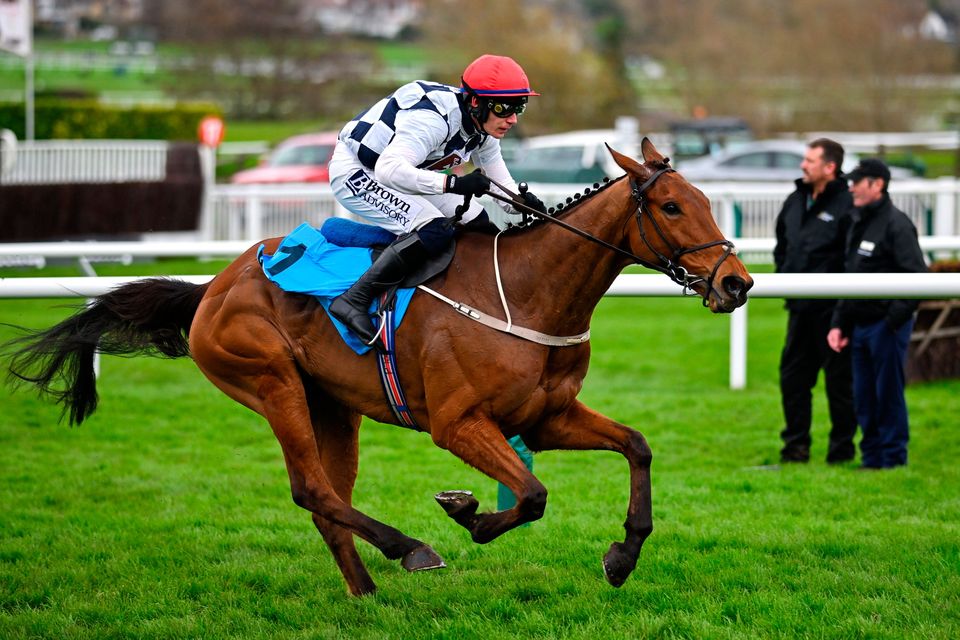 Ballyburn, with Paul Townend up, on their way to winning the Gallagher Novices' Hurdle on day two of the Cheltenham Festival at Prestbury Park. Photo by David Fitzgerald/Sportsfile