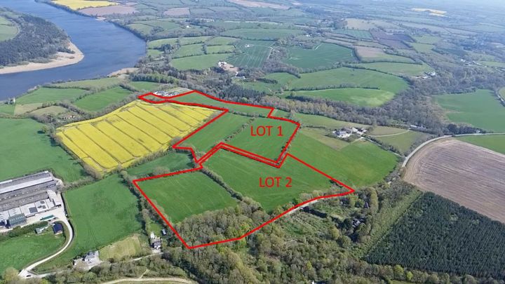 Bidding to start at more than half a million as sought-after Wexford farmland goes for auction