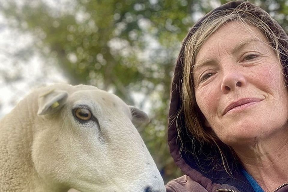 Artist and sheep farmer Orla Barry with a member of her flock.
