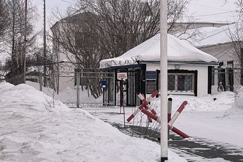 Inside the Polar Wolf penal colony in Kharp where Alexei Navalny died ...