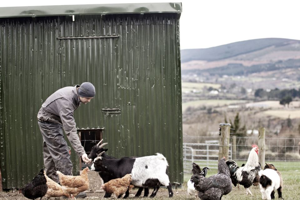 Farmer Michael Keegan makes extra money by offering his farm as a location for film and TV. Photograph by Marcello Biglia