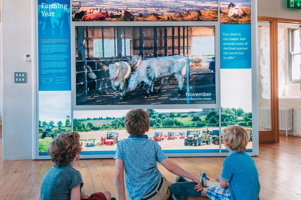 Fethard Horse Country Experience museum