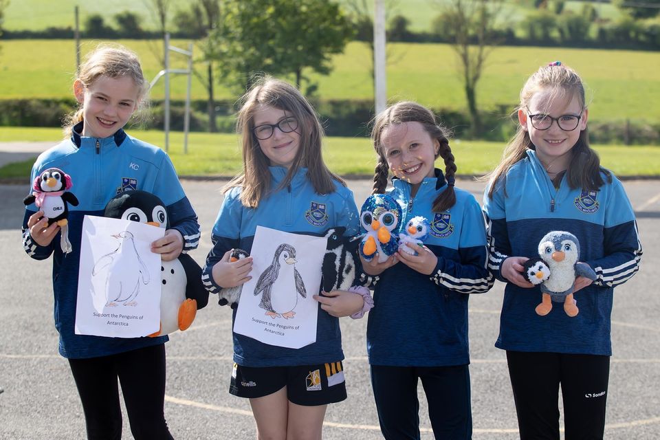 Listerlin 2nd pupils who raised €603-10 in a bake sale for Support the Penguins of Antarctica. From left; Kate Cody, Amy Cunningham, Anna May Lawlor and ellie Gaule. Photo; Mary Browne