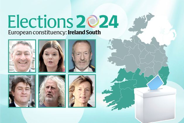 European election 2024: Sinn Féin polling well in Ireland South amid tight battle for final three seats