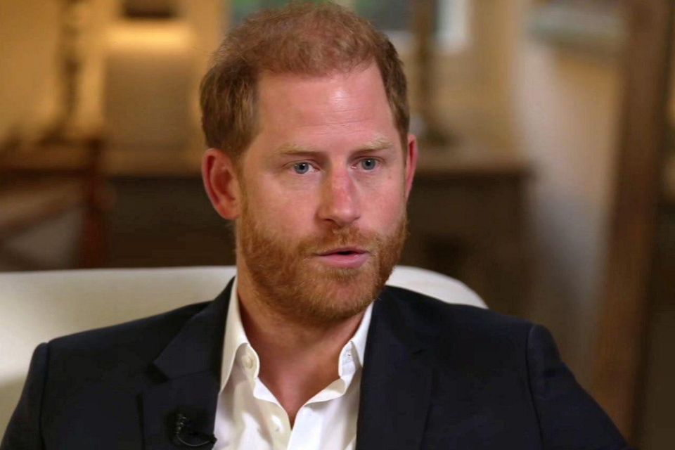 Harry in his TV interview last week. Photo: BBC