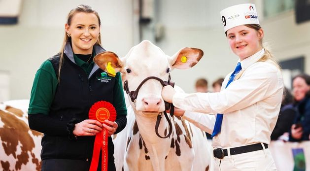 Peter Hynes: How to breed the right stock for your farm | Irish Independent