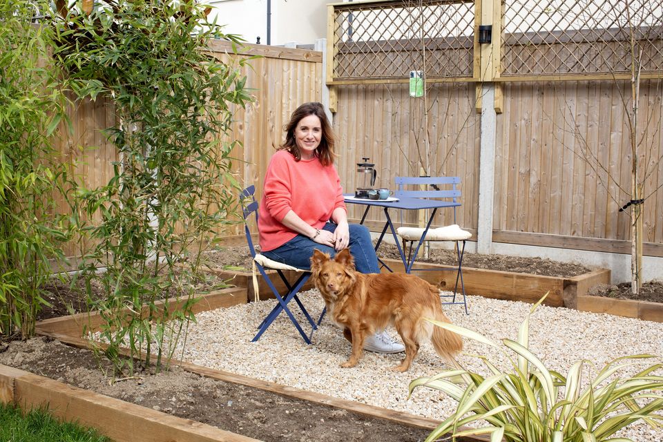 A priority for Melissa was the garden and she got Matthew Shearer to lay it, plant and fence it. “Initially I felt I was in a bit of a goldfish bowl, now I look forward to sitting in my garden in my dressing gown or having a gin and tonic in the evening. I also like to garden myself.” Photo: Tony Gavin