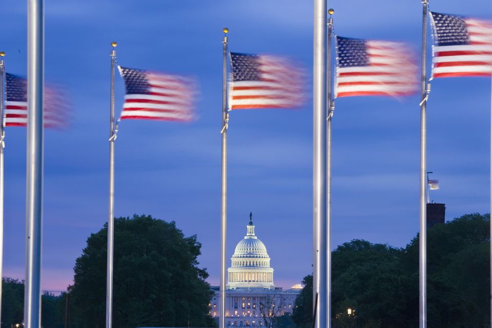 US flags in Washington DC. Photo: Getty