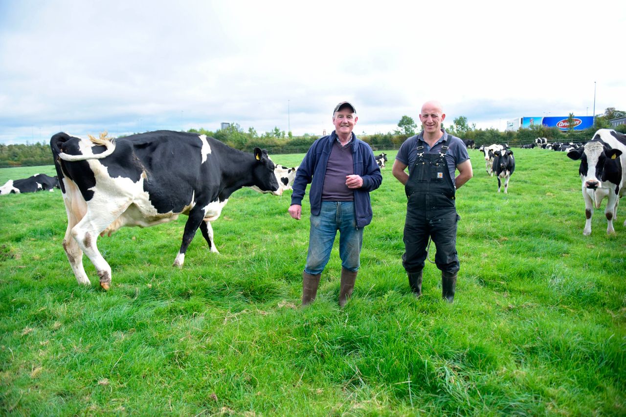 Meet The Dairy Farmers Just Eight Miles From O'connell Street 