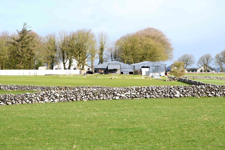 The farm at Cummer comes with a ranges of useful sheds