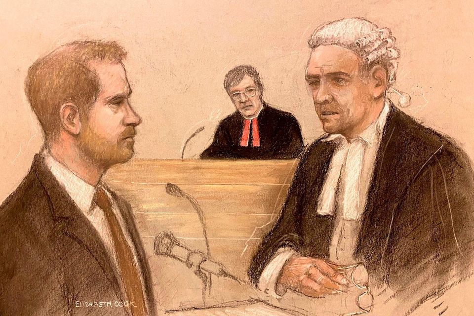 Court artist sketch by Elizabeth Cook of Harry being cross examined by Andrew Green KC. Photo: Elizabeth Cook/PA WireWire
