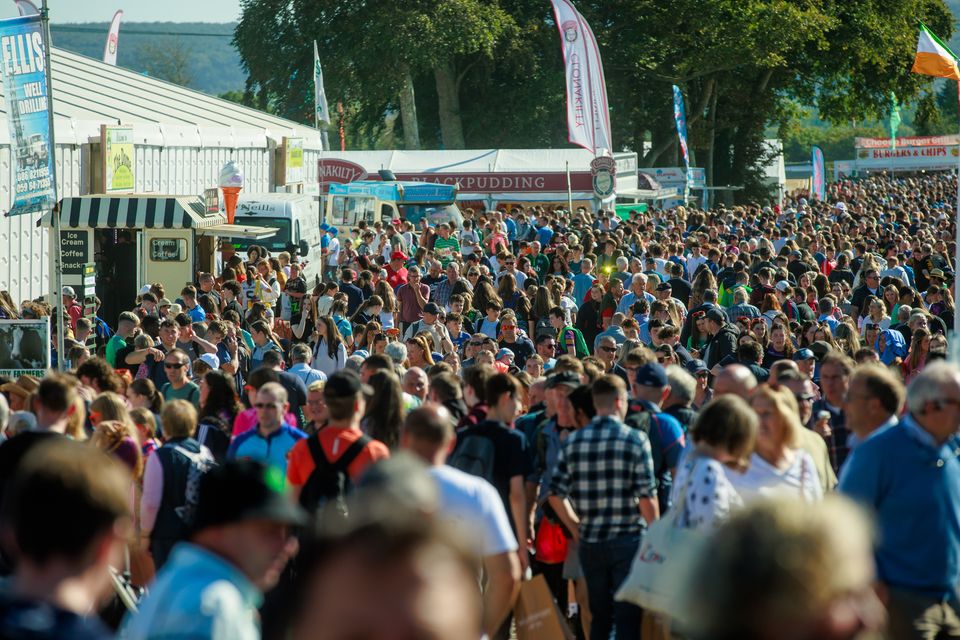 Large crowds on day of  the National Ploughing Championships in Ratheniska. Photo: Mark Condren