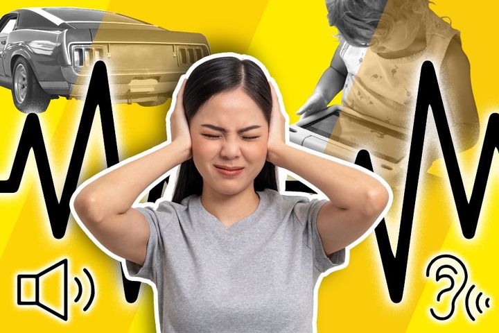 Brianna Parkins: No woman has ever been impressed looking at a man revving his car or motorbike. Turn the volume down