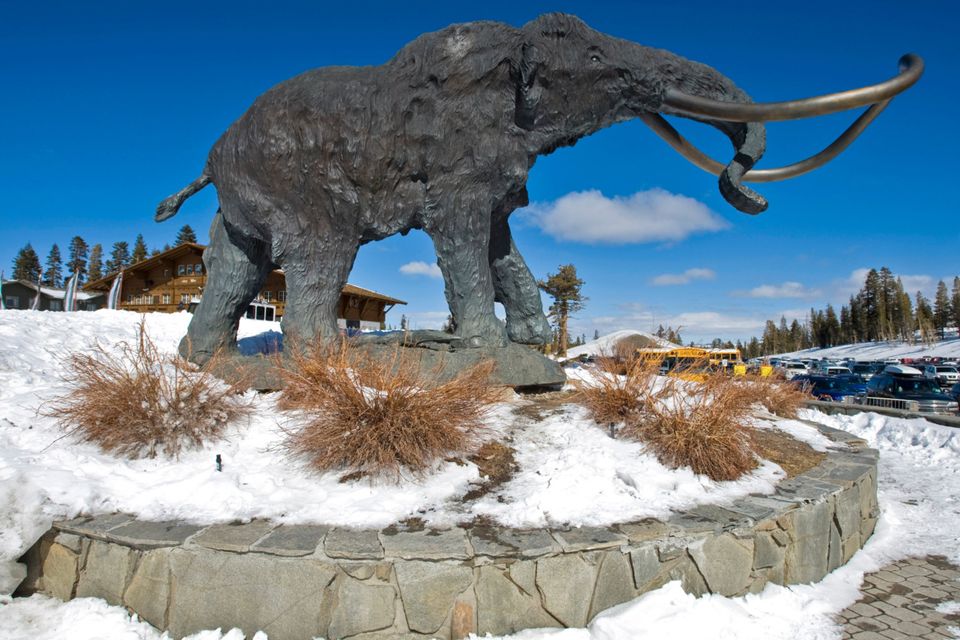 Mammoth Moutain