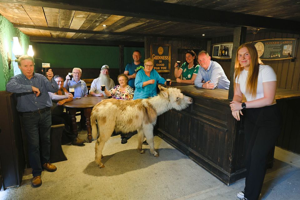 Mike Kelly, Martin Kilroy, Denny Connolly, Pat Diskin, Teresa Mannion, Pat Igoe, Grainne O'Gorman, Kathleen Mee, Luke Mee, Katelyn Mee and Jenny the Donkey at Mee's Bar. Photo: Mike Shaughnessy/GalwayPix.ie
