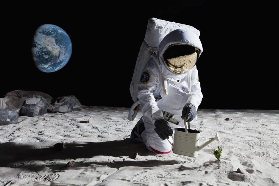 Growing crops on the moon would save on the cost of bringing food. Photo: Getty stock