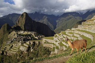 Mummified Body Of Missing American Mountaineer Found After 22 Years In ...