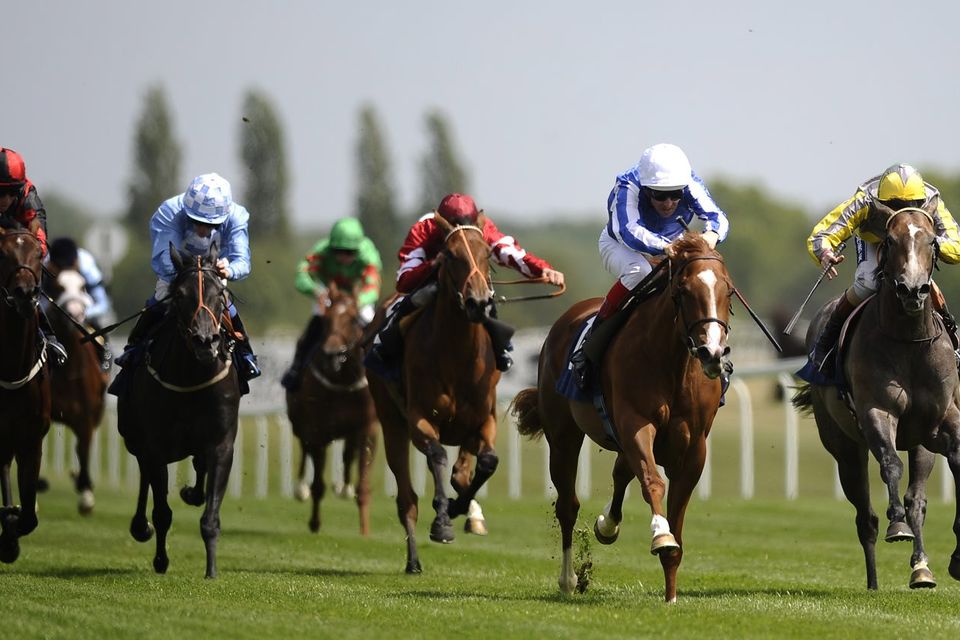 Thoroughbred racing – ‘the cachet of excellence has been earned through decades of effort’