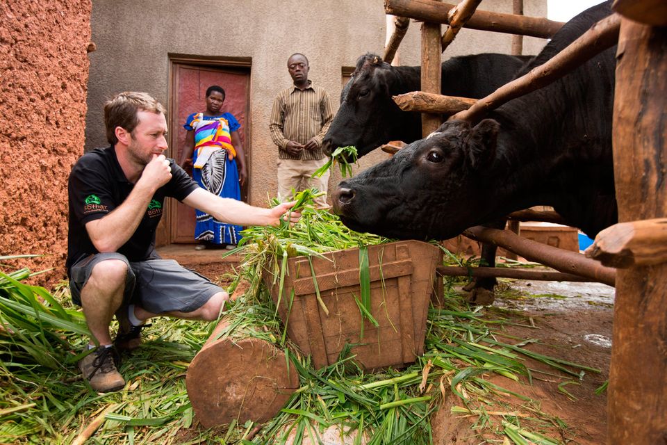 Colm Doyle in Rwanda with a cow donated by his late father through Bóthar 11 years ago. Photo: Sean Curtin True Media
