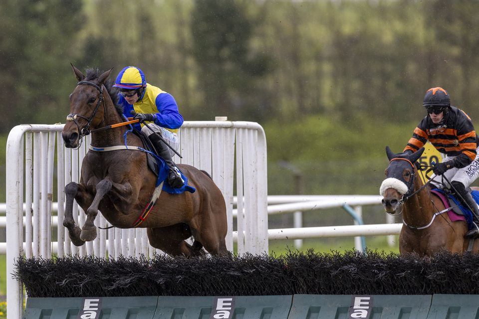 The Big Cloud and Seán O'Keeffe fly the final hurdle to win for trainer Shane Crawley at Limerick on Thursday. Photo: Patrick McCann/Racing Post