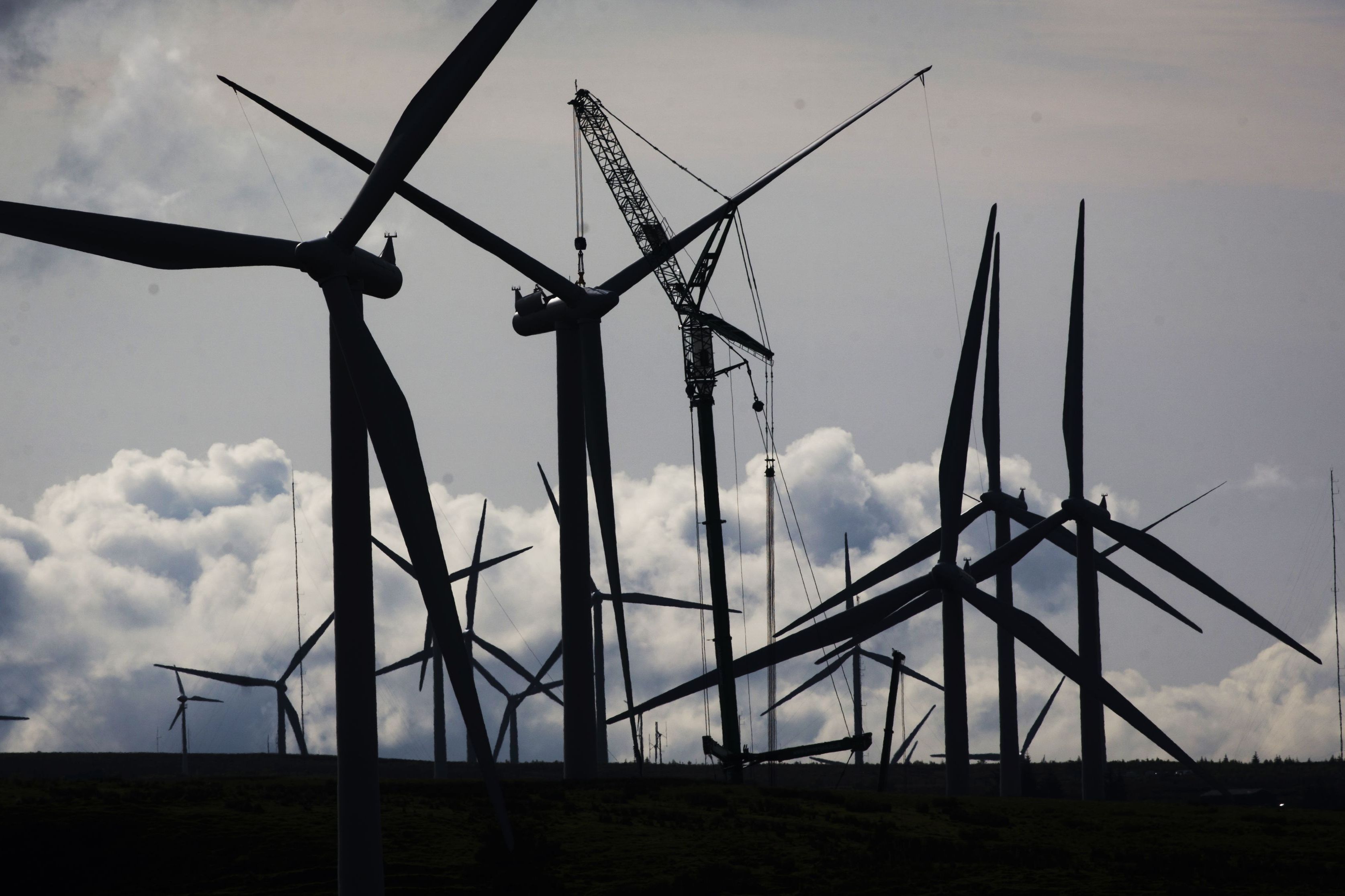 ESB collabore avec le français EDF sur le parc éolien écossais