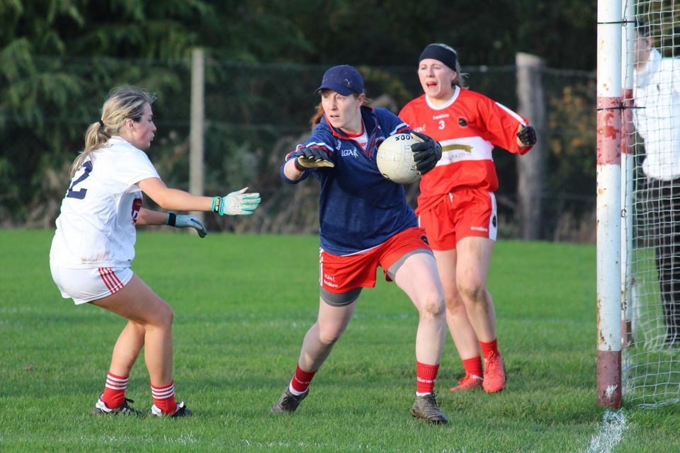 Strong recovery by Kilanerin | Irish Independent