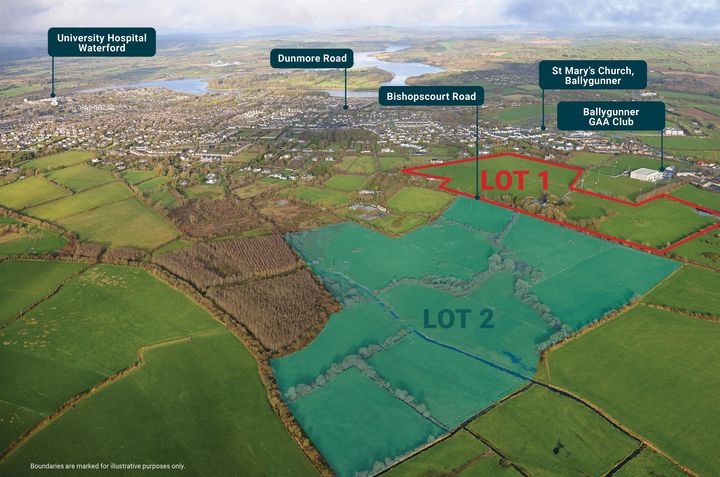 Ballygunner GAA club among investors to pay €40,000/ac for adjoining land