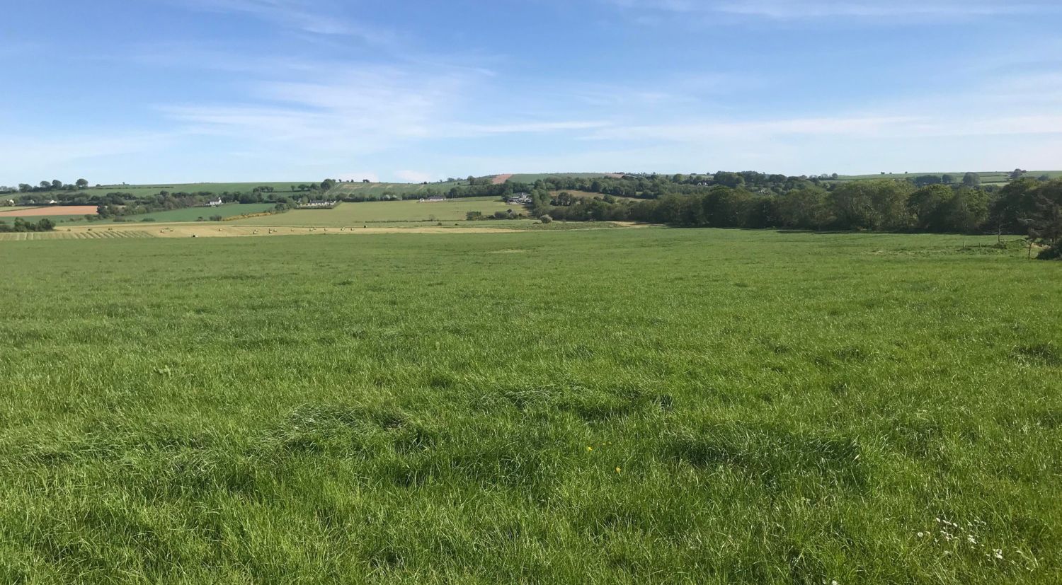 Pictures Wexford farm primed for dairy conversion sells for €1 million Independent.ie