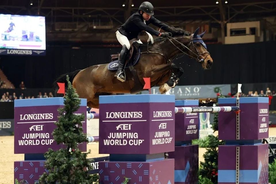 Conor Swail and Count Me In keep Irish hopes alive at World