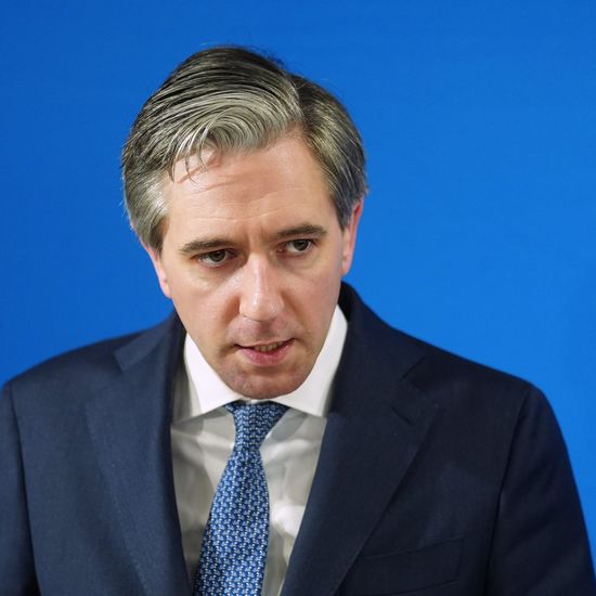 Richard Curran: When planning the new state savings scheme, Simon Harris should follow the money