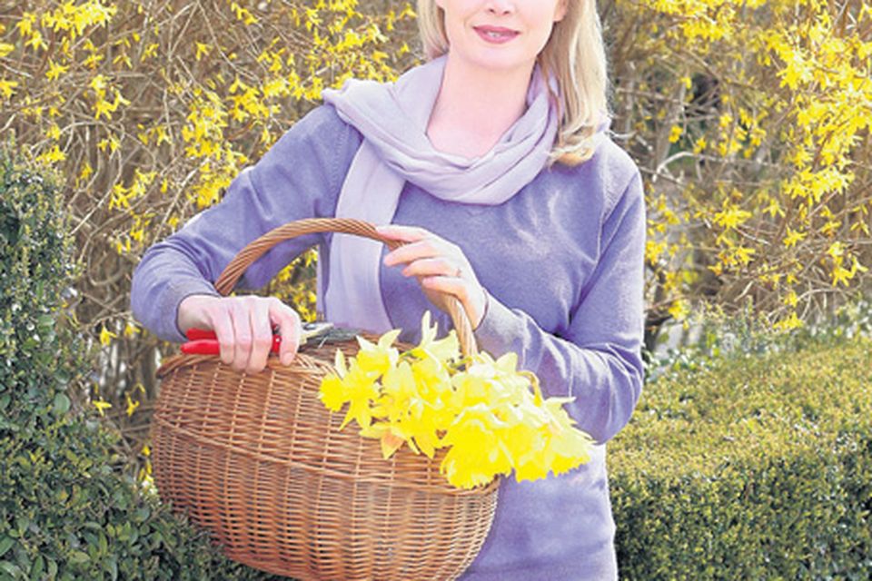 Colour me happy: Marie with daffodils