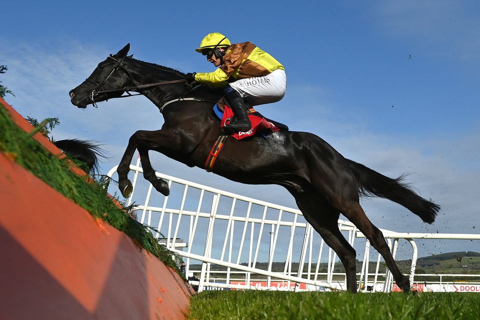 Galopin Des Champs, with Paul Townend up, were beaten by Fastorslow at the 2023 Punchestown Gold Cup. Photo: Seb Daly/Sportsfile