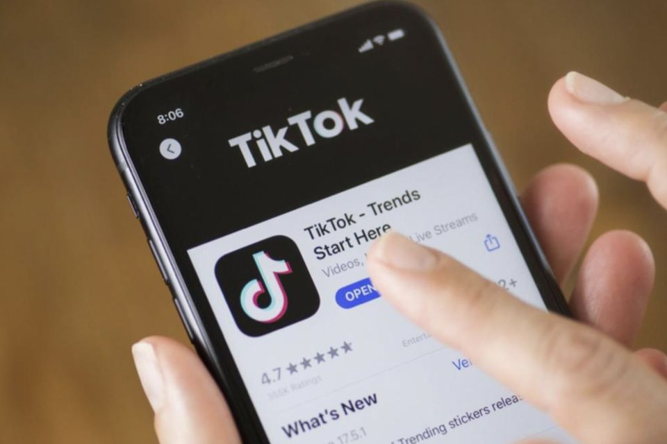 The case concerned an attempt by the Austrian government to make big tech firms such as Google, Meta and TikTok more responsible for illegal content posted on their platforms
