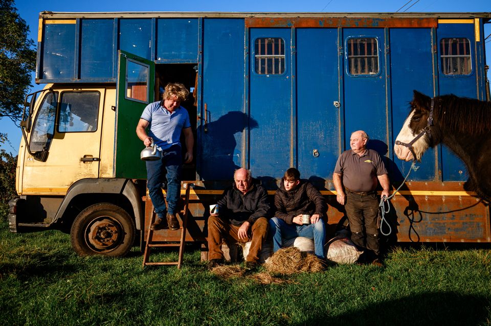 John Kelly, James Coffey, Ryan Kelly, Gerry North with their plough horse Sunny on day of  the National Ploughing Championships in Ratheniska. Photo: Mark Condren