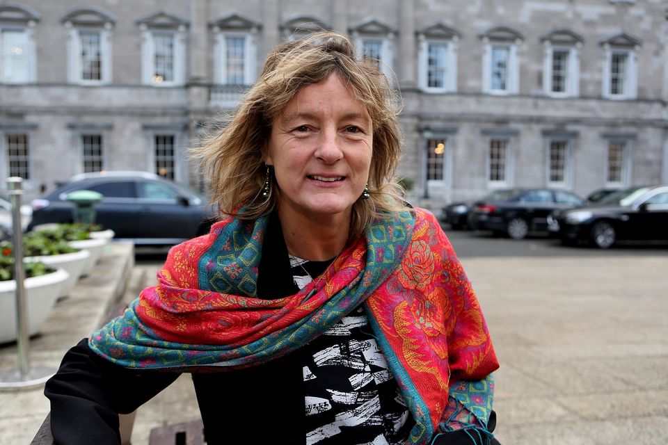 Green MEP Grace O’Sullivan campaigned for legislation tackling plastic production. Photo: Tom Burke