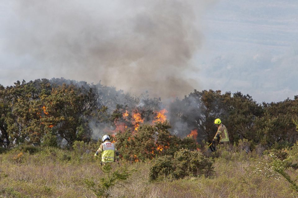 Crews from Ennis fight a gorse fire near Ruan, Co Clare. Photo: Press 22