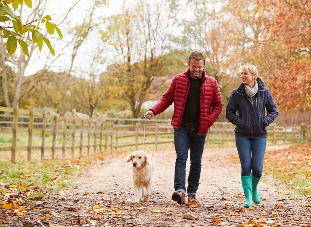 ‘This finding has potential to transform preventive care’ – study shows walking can delay back pain problems