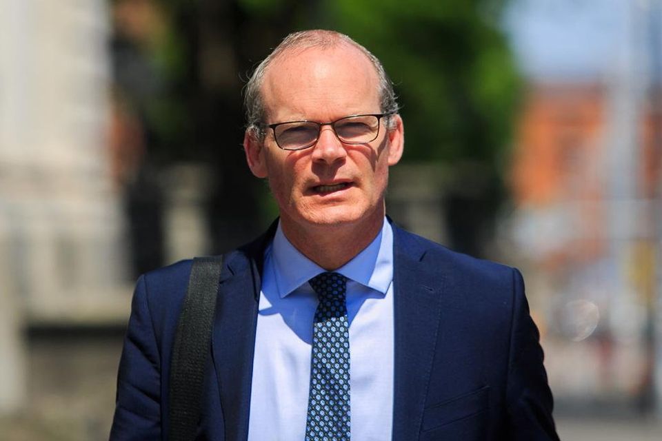 Under Irish law, all employers proposing a collective redundancy must notify the minister (pictured, Enterprise Minister Simon Coveney) ahead of time