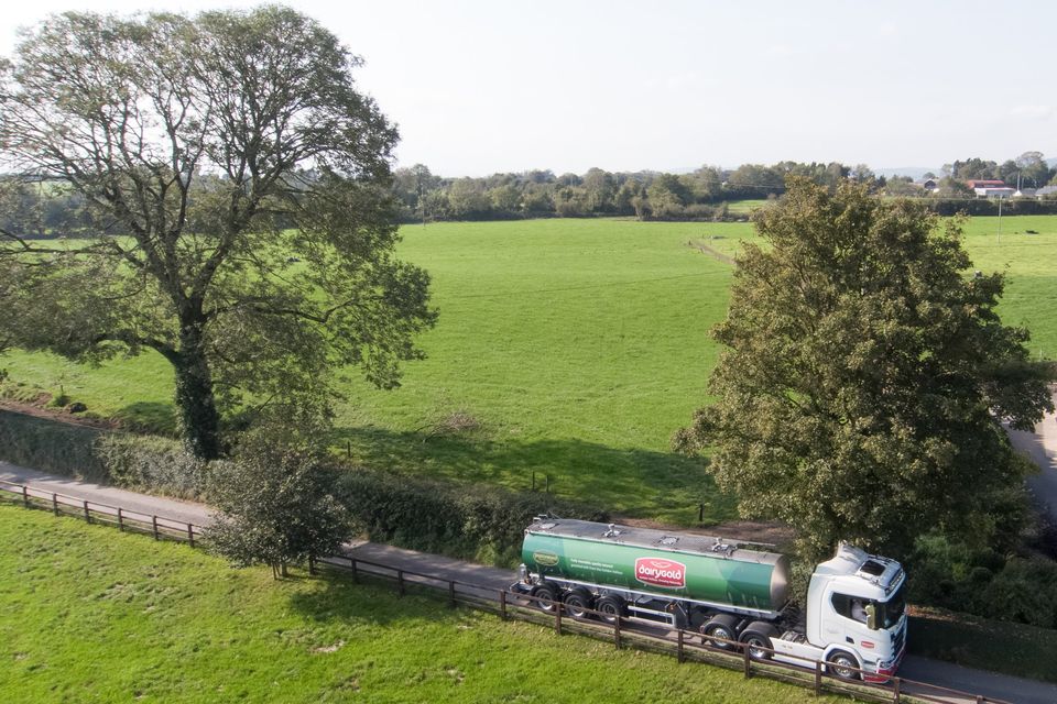 Dairygold milk lorry. Stock Image