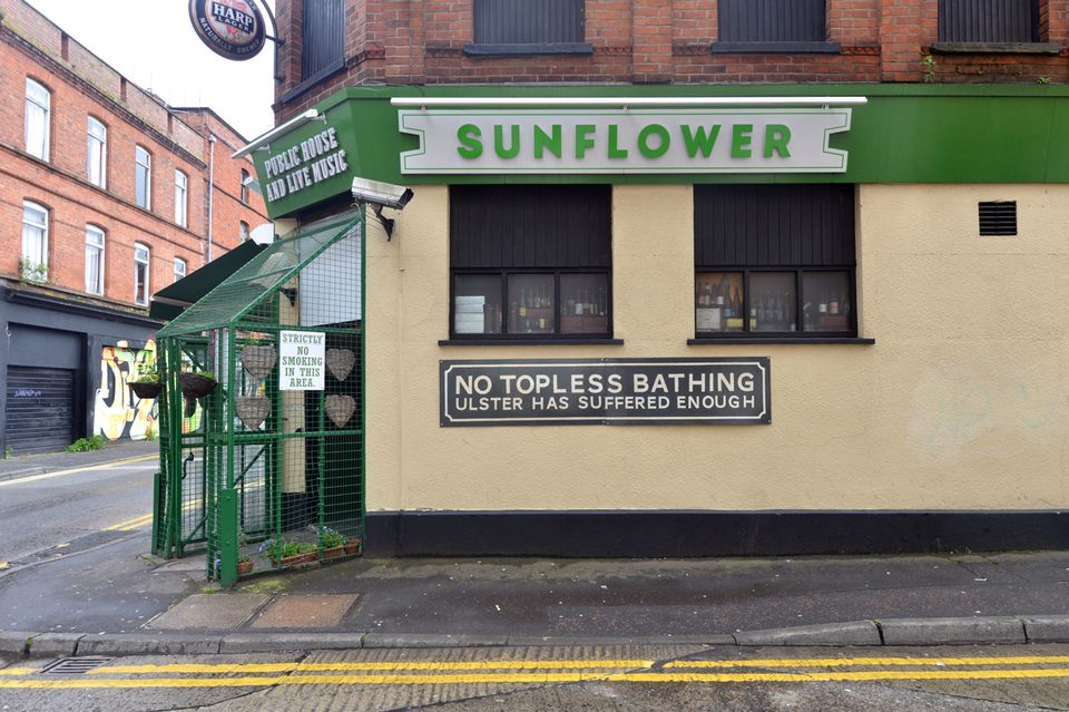The Sunflower, Belfast