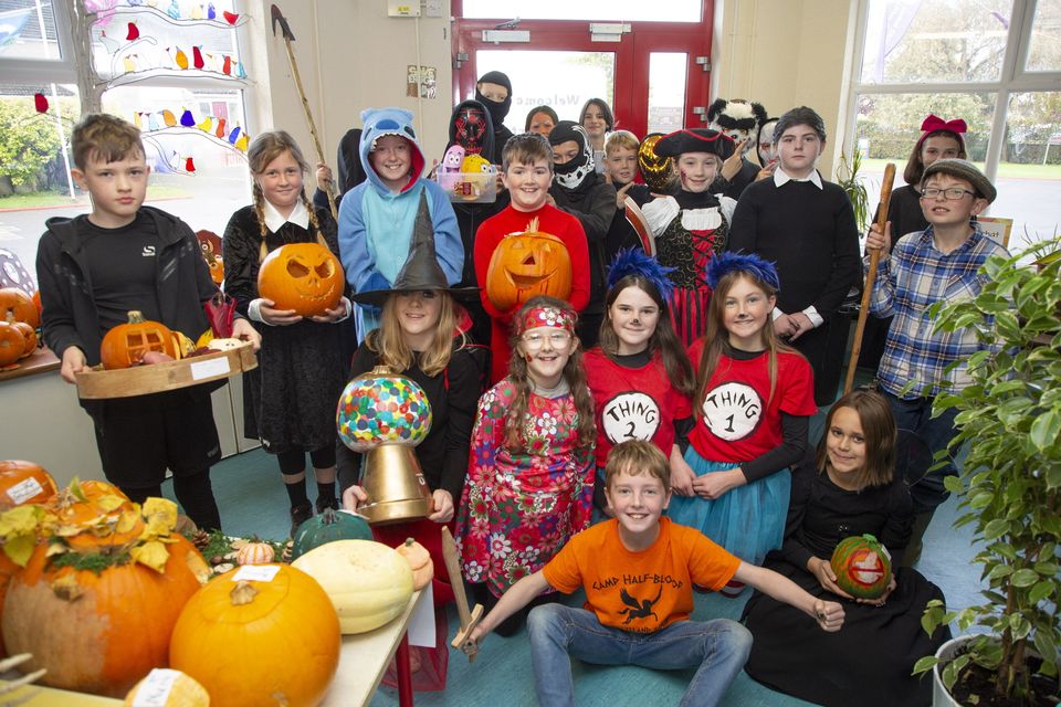 5class Student Sex - See photos as Arklow schools celebrate a spooktacular Halloween |  Independent.ie