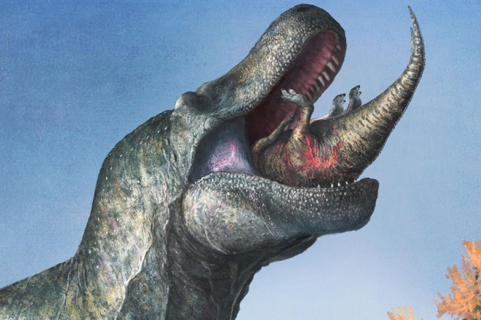 Dinosaur illustration - Mark P. Witton/ Handout via REUTERS