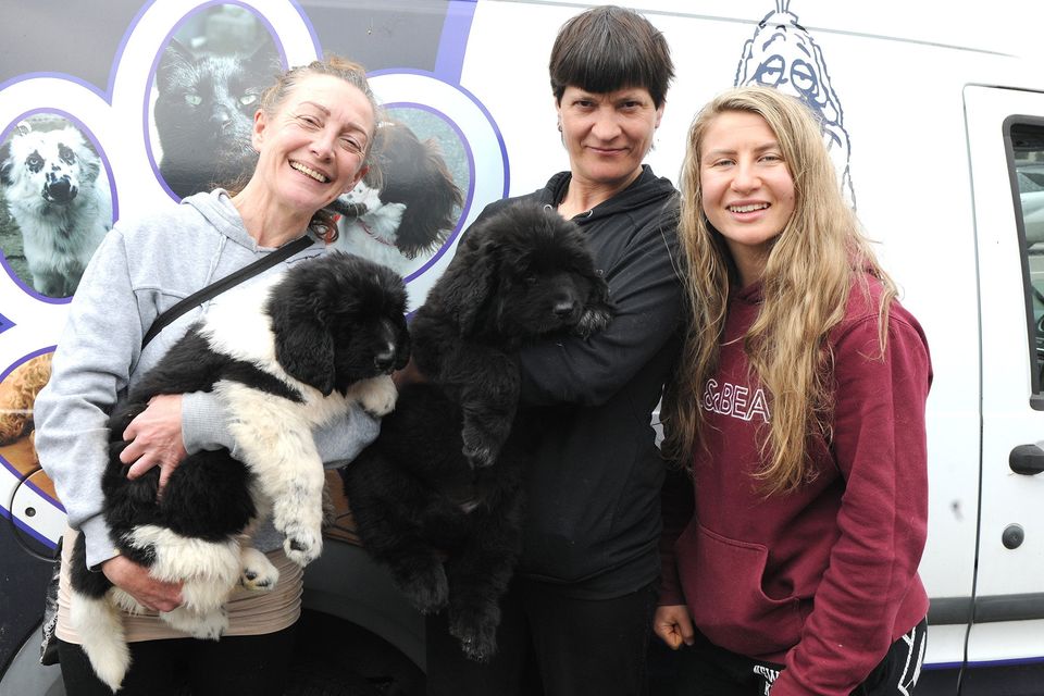 Pictured at the start of the annual NWSPCA Charity Dog Walk outside Maxi Zoo on Sunday were Karena Kehoe, Ingrid Dvelme and Mya Weafer with Gracie and Ami. Pic: Jim Campbell