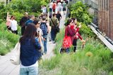 thumbnail: Walk off the excess on the New York Highline